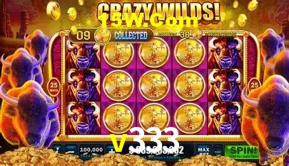 Ofertas Exclusivas v333